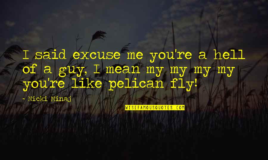 Mean Guy Quotes By Nicki Minaj: I said excuse me you're a hell of