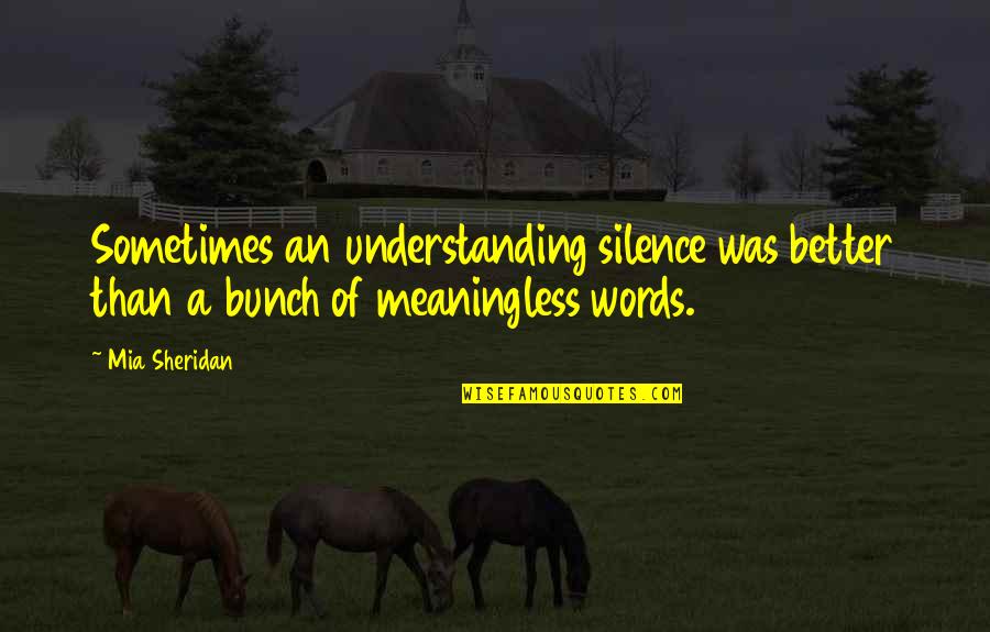 Mean Insultive Quotes By Mia Sheridan: Sometimes an understanding silence was better than a