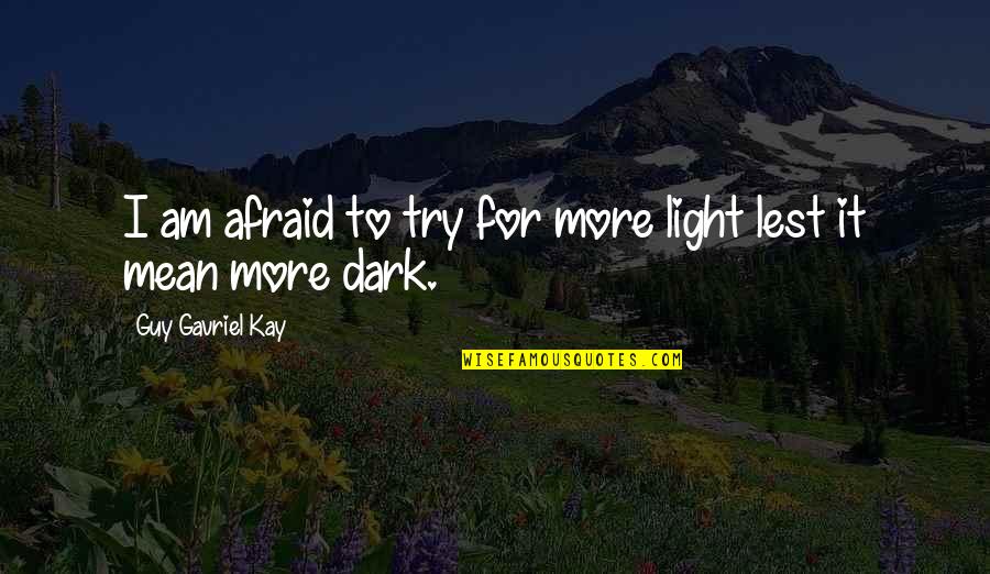 Mean It Quotes By Guy Gavriel Kay: I am afraid to try for more light