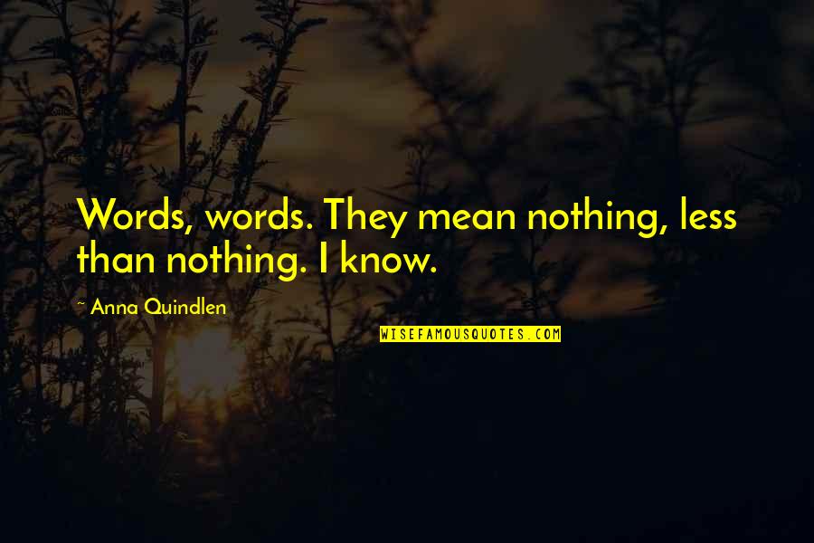 Mean Less Quotes By Anna Quindlen: Words, words. They mean nothing, less than nothing.