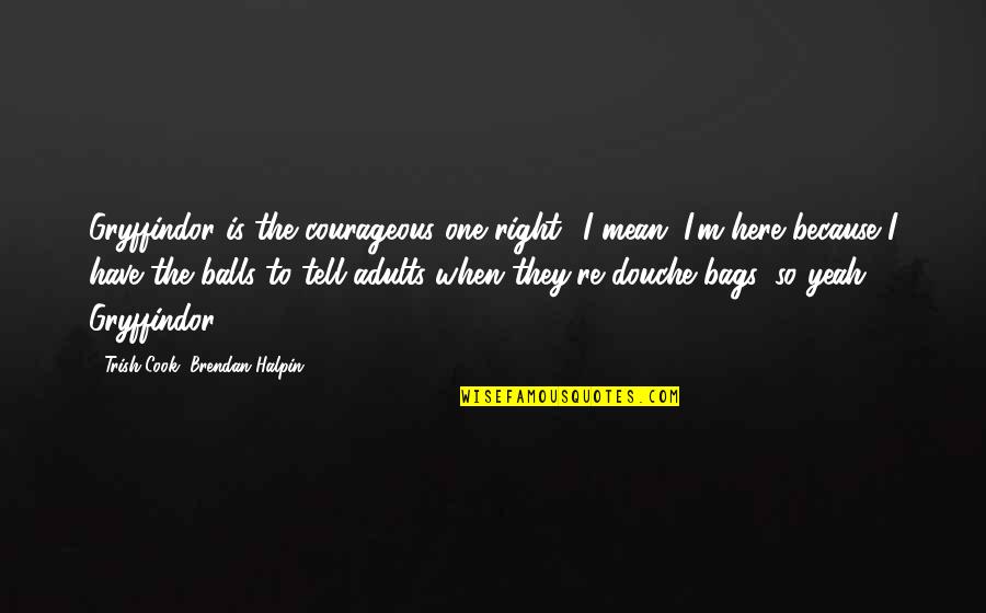Mean&mash Quotes By Trish Cook, Brendan Halpin: Gryffindor is the courageous one right? I mean, Mean&mash Quotes By Trish Cook, Brendan Halpin: Gryffindor is the courageous one right? I mean,