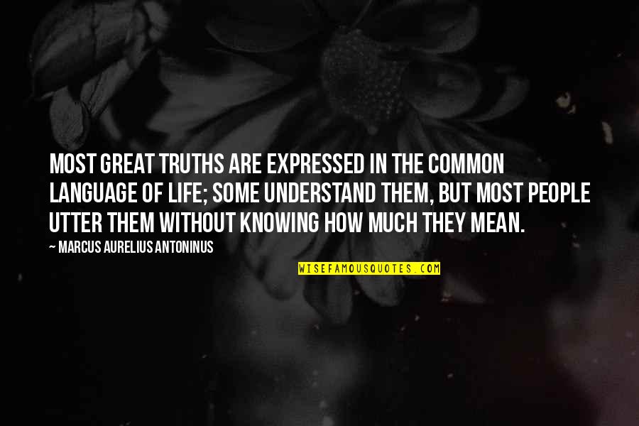 Mean People In Life Quotes By Marcus Aurelius Antoninus: most great truths are expressed in the common