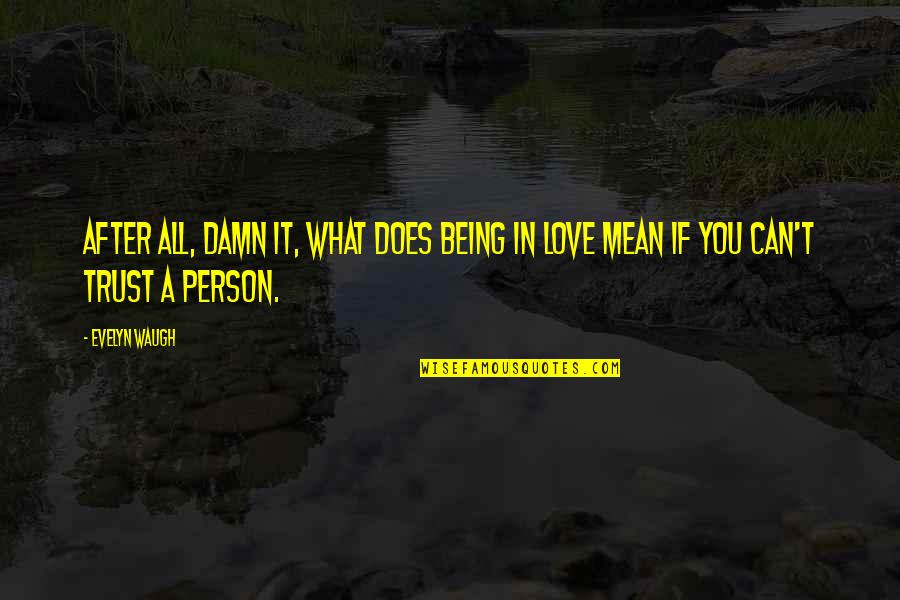 Mean Person Quotes By Evelyn Waugh: After all, damn it, what does being in