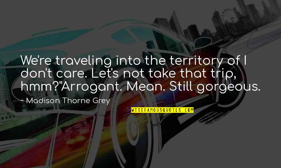 Mean Quotes And Quotes By Madison Thorne Grey: We're traveling into the territory of I don't