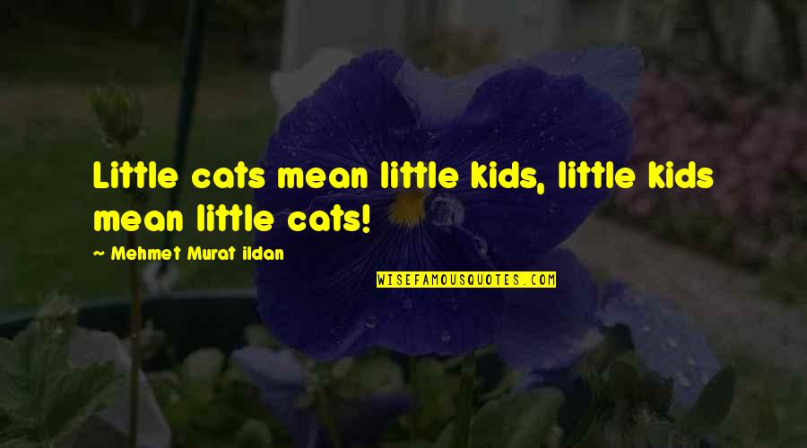 Mean Quotes And Quotes By Mehmet Murat Ildan: Little cats mean little kids, little kids mean