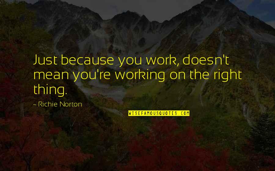 Mean Quotes And Quotes By Richie Norton: Just because you work, doesn't mean you're working