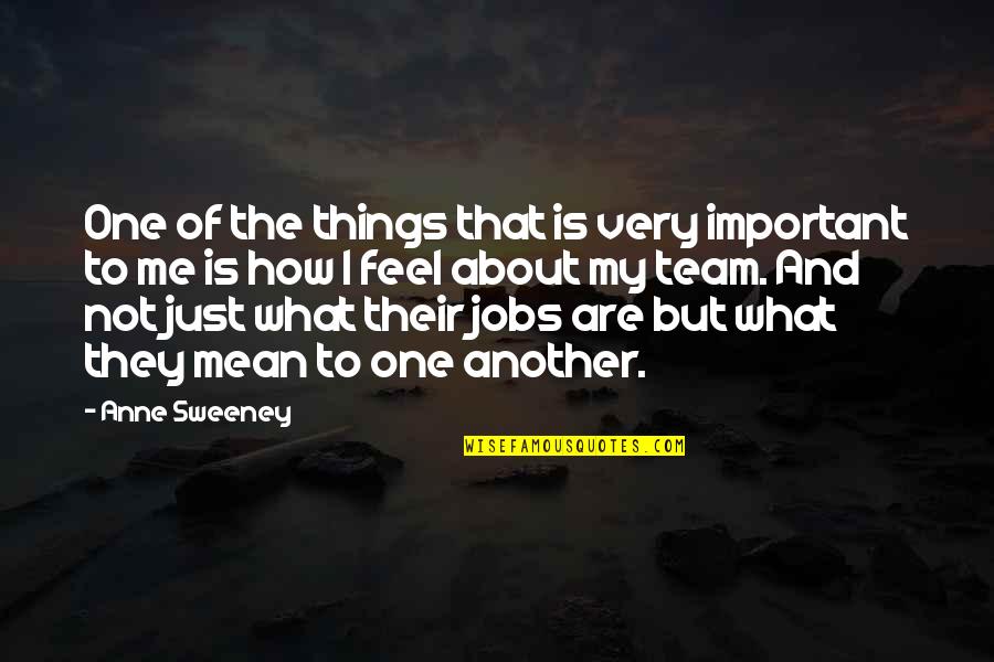 Mean Team Quotes By Anne Sweeney: One of the things that is very important