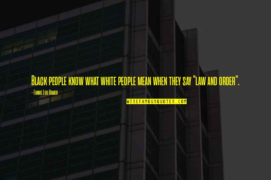 Mean What We Say Quotes By Fannie Lou Hamer: Black people know what white people mean when