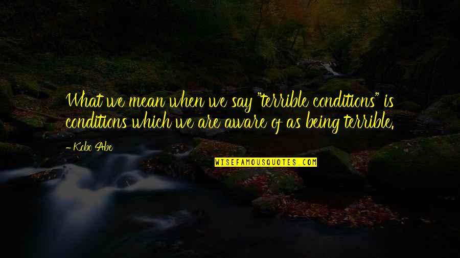 Mean What We Say Quotes By Kobo Abe: What we mean when we say "terrible conditions"