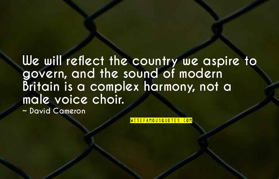 Mean Wholesale Quotes By David Cameron: We will reflect the country we aspire to Mean Wholesale Quotes By David Cameron: We will reflect the country we aspire to
