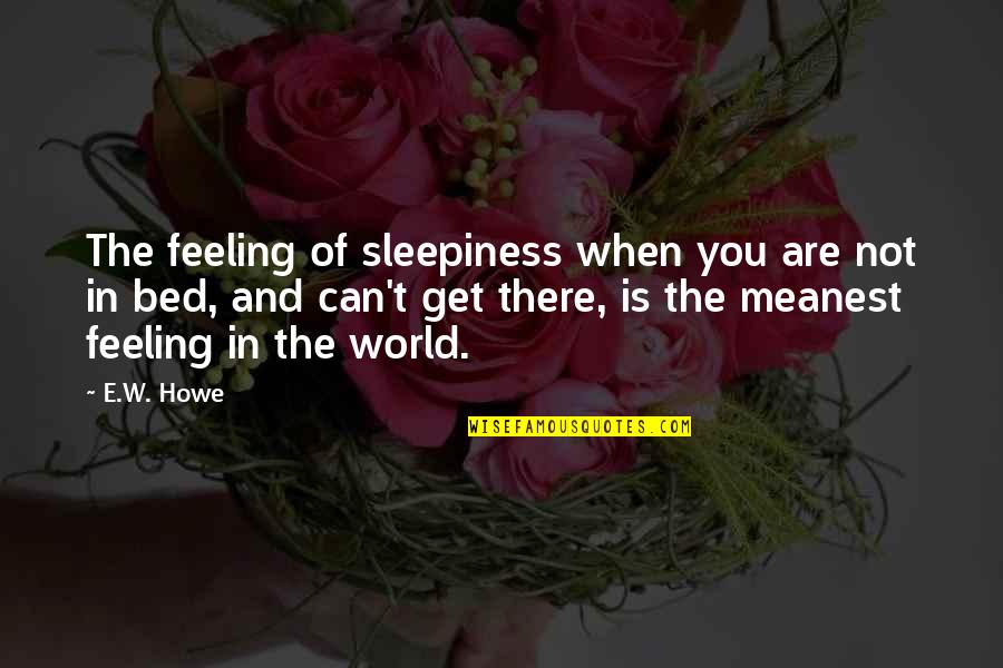 Meanest Quotes By E.W. Howe: The feeling of sleepiness when you are not