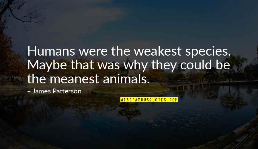Meanest Quotes By James Patterson: Humans were the weakest species. Maybe that was