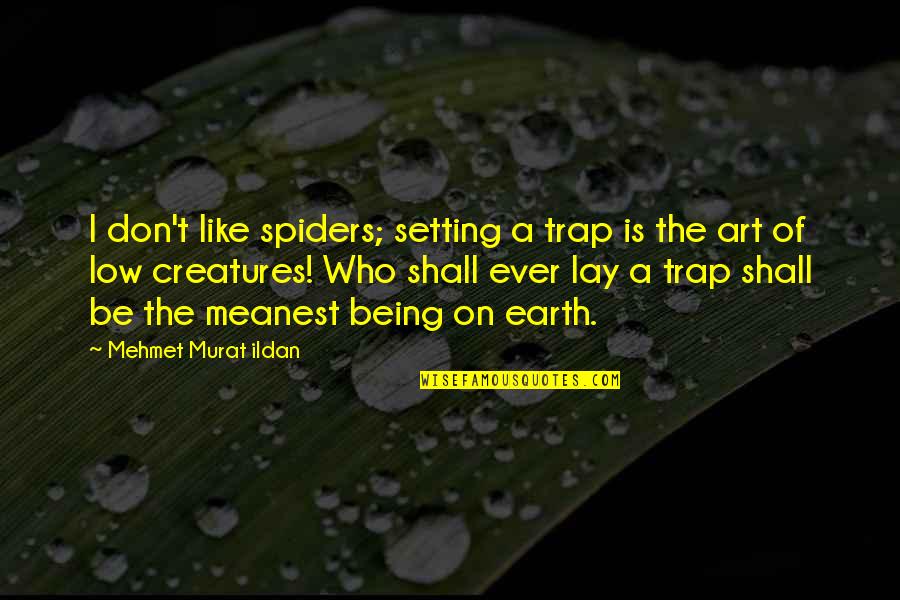 Meanest Quotes By Mehmet Murat Ildan: I don't like spiders; setting a trap is