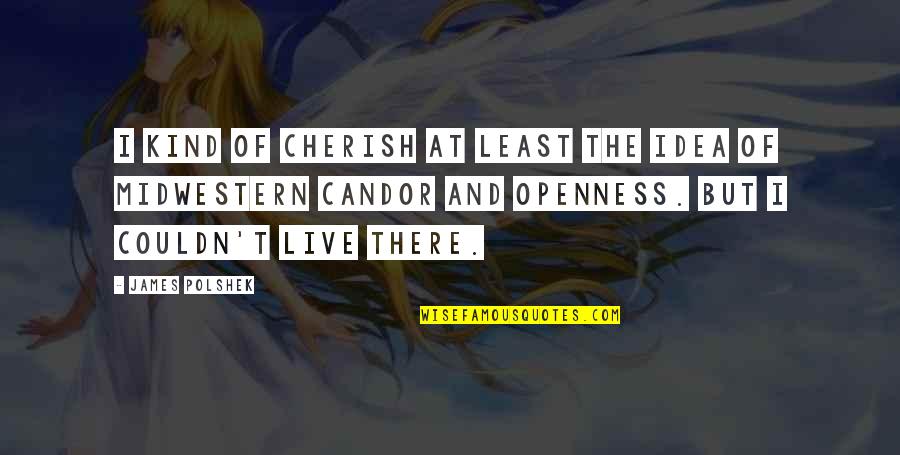 Meanies By Joy Quotes By James Polshek: I kind of cherish at least the idea Meanies By Joy Quotes By James Polshek: I kind of cherish at least the idea