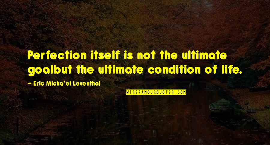 Meaning And Purpose In Life Quotes By Eric Micha'el Leventhal: Perfection itself is not the ultimate goalbut the