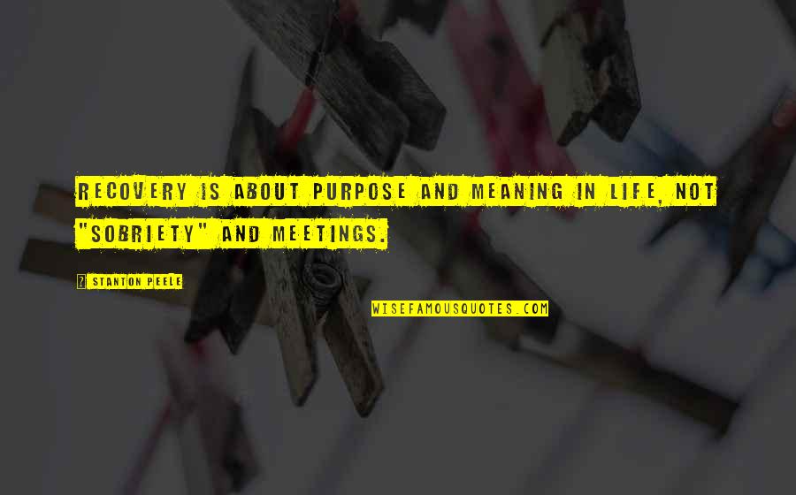 Meaning And Purpose In Life Quotes By Stanton Peele: Recovery is about purpose and meaning in life,