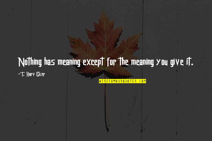 Meaning For Quotes By T. Harv Eker: Nothing has meaning except for the meaning you