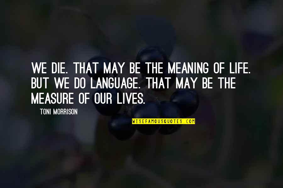 Meaning Of Life Life Quotes By Toni Morrison: We die. That may be the meaning of