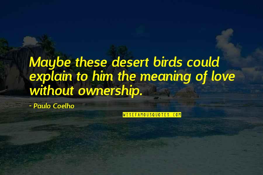 Meaning Of Love Quotes By Paulo Coelho: Maybe these desert birds could explain to him