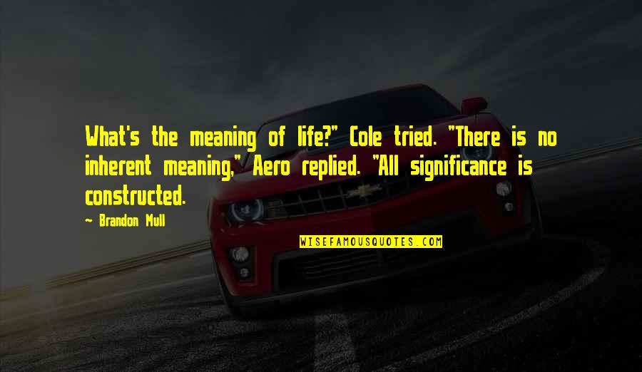 Meaning Of The Life Quotes By Brandon Mull: What's the meaning of life?" Cole tried. "There