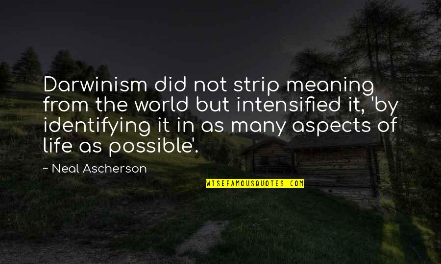 Meaning Of The Life Quotes By Neal Ascherson: Darwinism did not strip meaning from the world