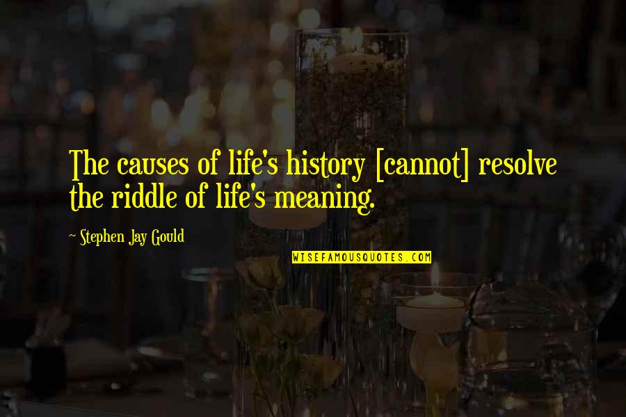 Meaning Of The Life Quotes By Stephen Jay Gould: The causes of life's history [cannot] resolve the