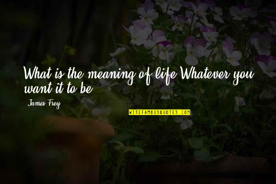 Meaning Of You Quotes By James Frey: What is the meaning of life?Whatever you want