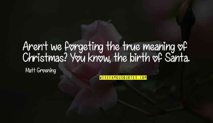 Meaning Of You Quotes By Matt Groening: Aren't we forgeting the true meaning of Christmas?