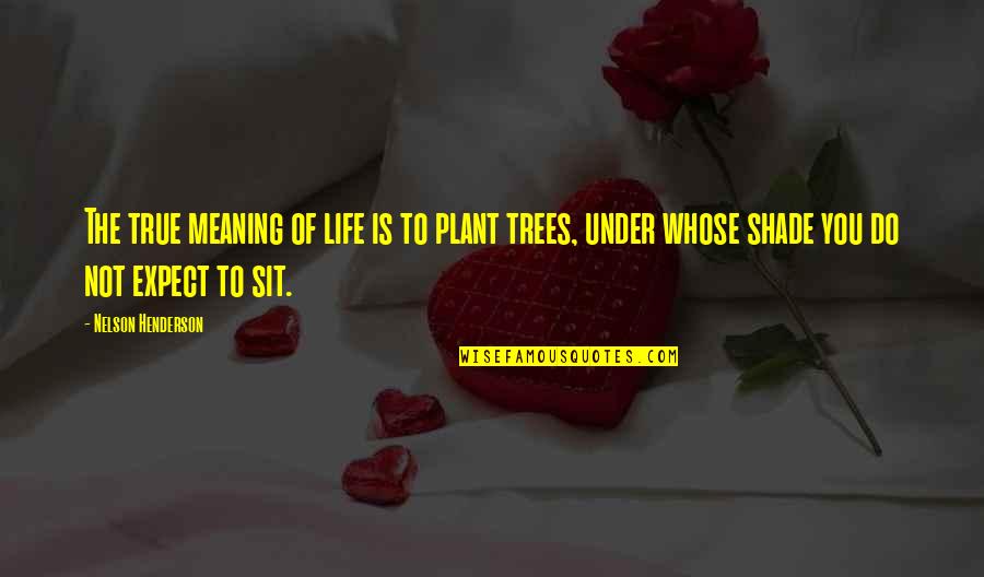 Meaning Of You Quotes By Nelson Henderson: The true meaning of life is to plant Meaning Of You Quotes By Nelson Henderson: The true meaning of life is to plant