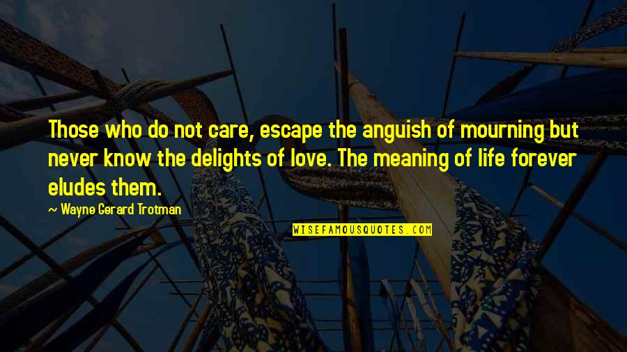 Meaning Quotes And Quotes By Wayne Gerard Trotman: Those who do not care, escape the anguish Meaning Quotes And Quotes By Wayne Gerard Trotman: Those who do not care, escape the anguish