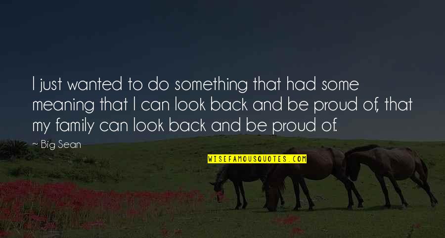 Meaning Something Quotes By Big Sean: I just wanted to do something that had