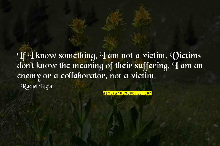 Meaning Something Quotes By Rachel Klein: If I know something, I am not a