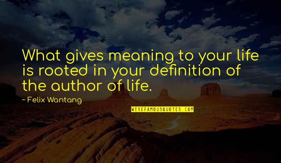 Meaning To Life Quotes By Felix Wantang: What gives meaning to your life is rooted