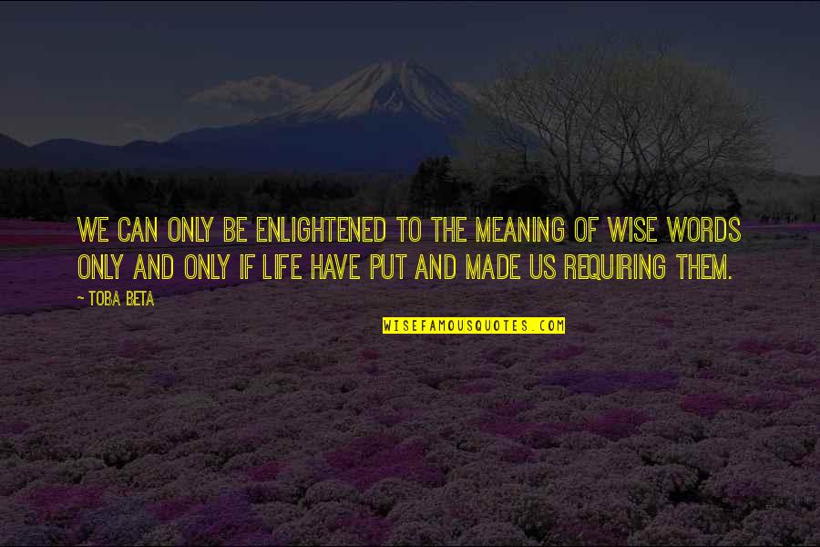 Meaning To Life Quotes By Toba Beta: We can only be enlightened to the meaning