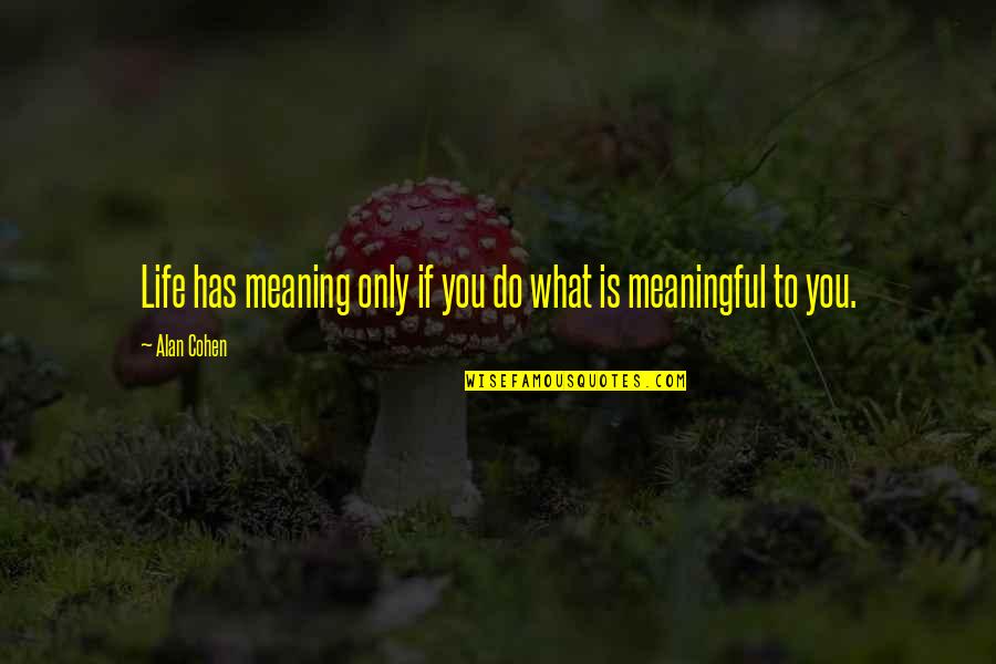 Meaning To You Quotes By Alan Cohen: Life has meaning only if you do what