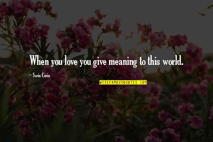 Meaning To You Quotes By Sorin Cerin: When you love you give meaning to this Meaning To You Quotes By Sorin Cerin: When you love you give meaning to this