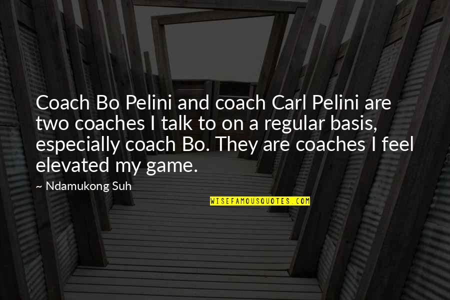 Meaningful All Time Low Quotes By Ndamukong Suh: Coach Bo Pelini and coach Carl Pelini are