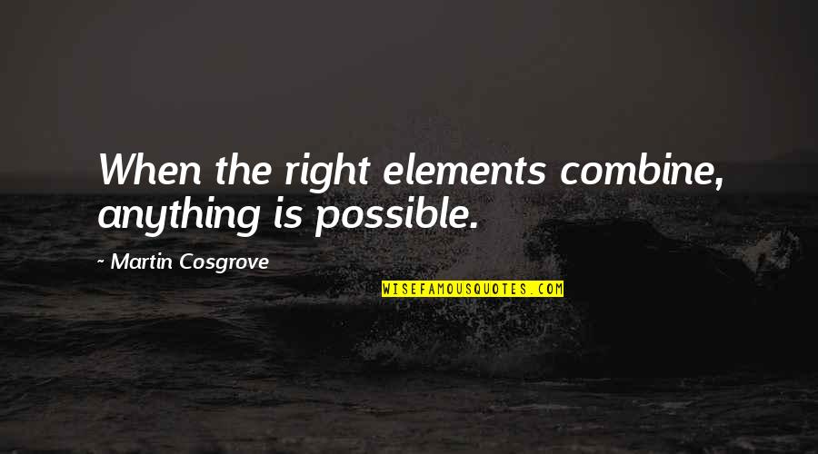 Meaningful And Inspirational Quotes By Martin Cosgrove: When the right elements combine, anything is possible.