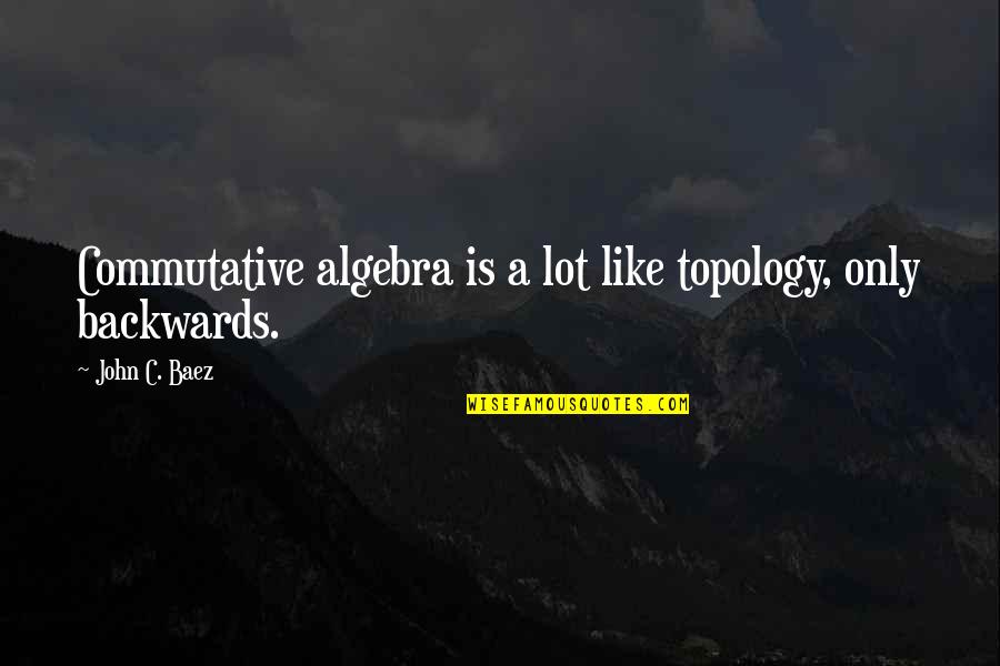 Meaningful Duck Hunting Quotes By John C. Baez: Commutative algebra is a lot like topology, only