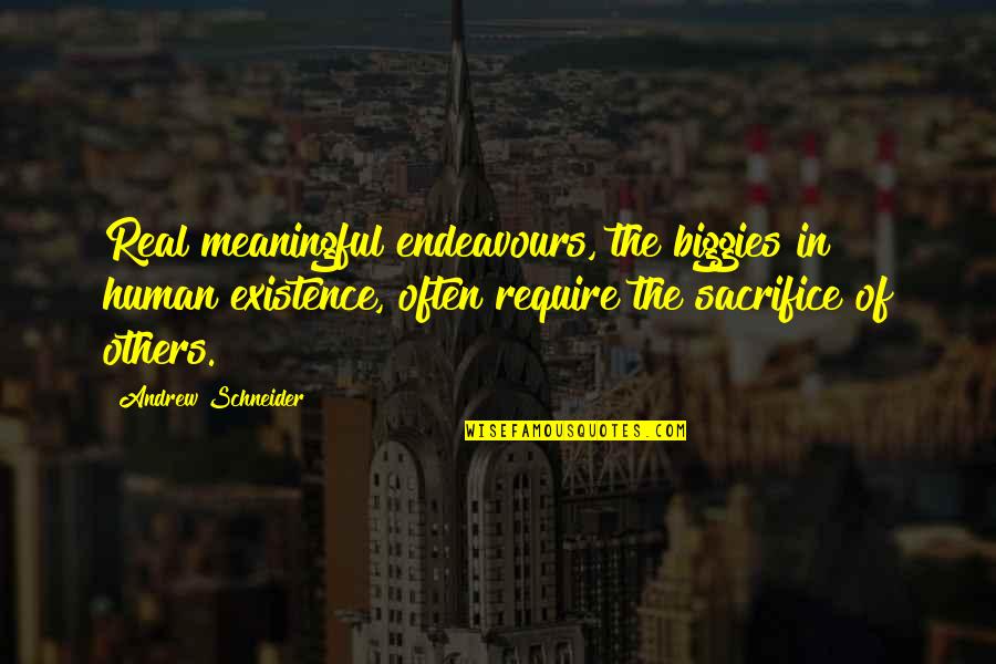 Meaningful Existence Quotes By Andrew Schneider: Real meaningful endeavours, the biggies in human existence,