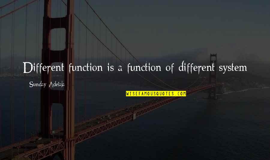 Meaningful Happiness Quotes By Sunday Adelaja: Different function is a function of different system