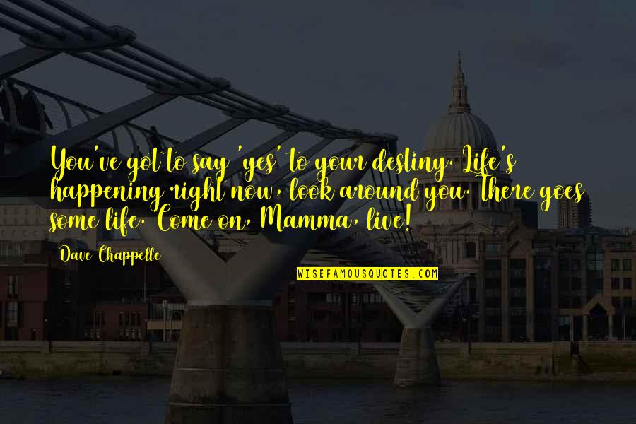 Meaningful Life Quotes By Dave Chappelle: You've got to say 'yes' to your destiny.