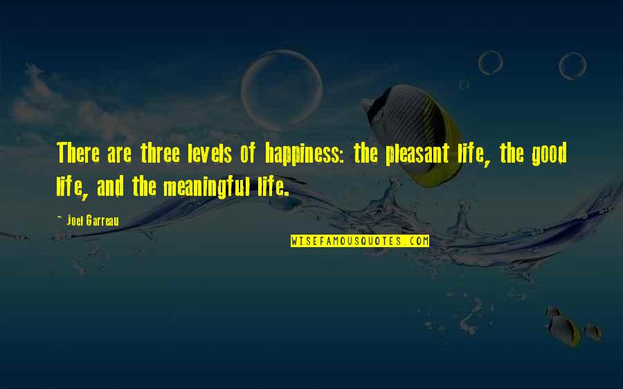 Meaningful Life Quotes By Joel Garreau: There are three levels of happiness: the pleasant