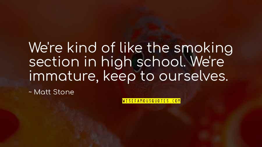 Meaningful My Chemical Romance Quotes By Matt Stone: We're kind of like the smoking section in