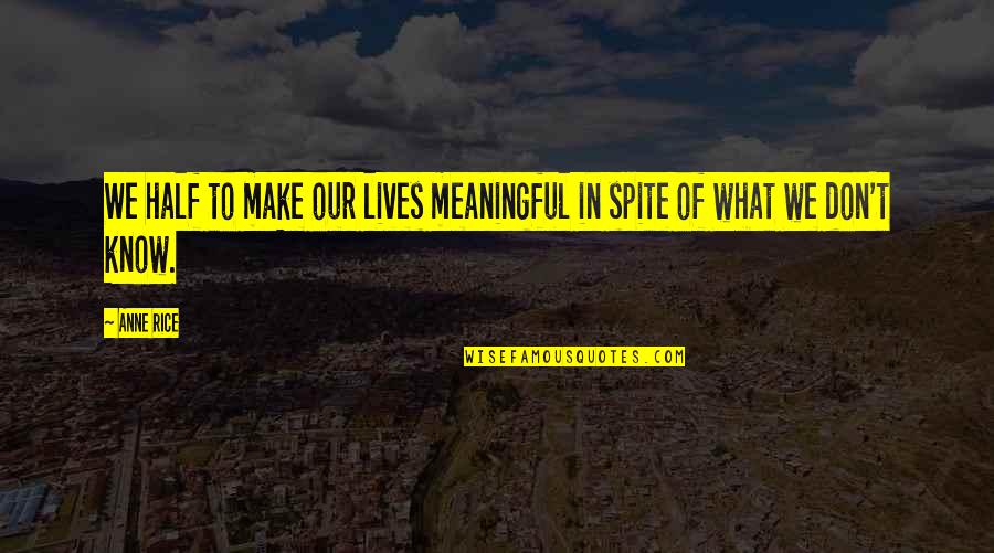 Meaningful Reality Life Quotes By Anne Rice: We half to make our lives meaningful in