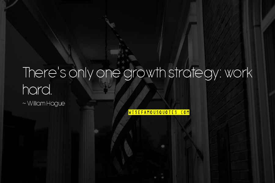 Meaningful Relationships Quotes By William Hague: There's only one growth strategy: work hard.