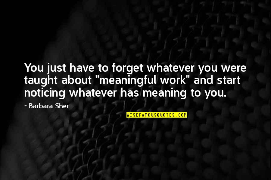 Meaningful Work Quotes By Barbara Sher: You just have to forget whatever you were