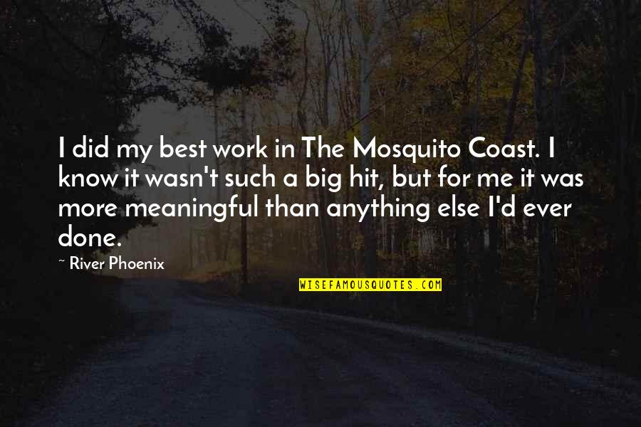 Meaningful Work Quotes By River Phoenix: I did my best work in The Mosquito