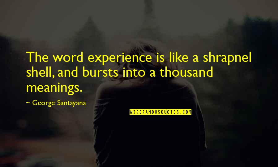 Meanings Quotes By George Santayana: The word experience is like a shrapnel shell,