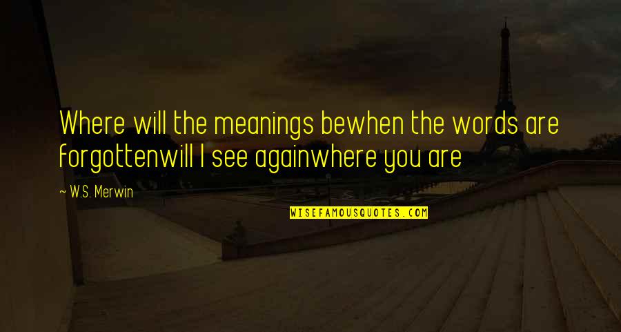 Meanings Quotes By W.S. Merwin: Where will the meanings bewhen the words are